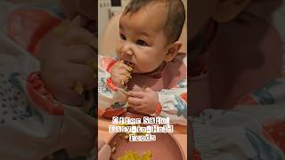 Malisa enjoyed a family mealbaby cute weaning 6monthsold yummyfood babyfood babydevelopment [upl. by Ssac]