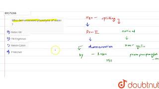 Who demonstrated photolysis of water [upl. by Jarrett26]