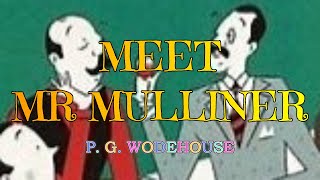 MEET MR MULLINER – P G WODEHOUSE 👍  JONATHAN CECIL 👏 [upl. by Atilamrac]