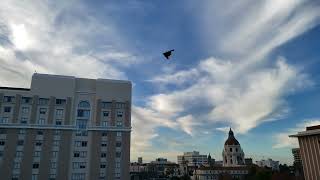 2024 Rose Bowl Parade B2 Stealth Bomber Flyover [upl. by Atem63]