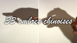 TUTO 33 ombre chinoise [upl. by Anahpos]