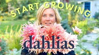 Get started with dahlias 🌿 A guide to the basics [upl. by Nysa]