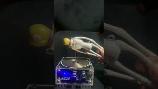 Experiment Tesla Coil with Potato Head⚡️ [upl. by Innob469]