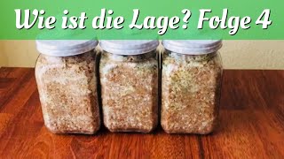 Pilze züchten wie ist die Lage Folge 4 [upl. by Ecinehs]