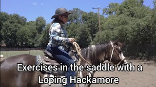 Loping Hackamore  Bitless Bridle Exercises for control Part 2 [upl. by Nolat]