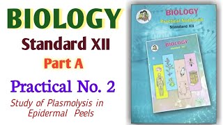 12th Biology Practical No 2 ll Study of Plasmolysis in Epidermal Peels viralvideo jee 12th [upl. by Barbey80]