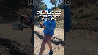 Laguna Niguel lake what is interesting there shorts fishingvideo catfish catfishing fisherman [upl. by Particia]