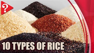 10 Types of Rice [upl. by Ahseenyt]