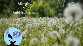 How Allergies and Antihistamines work What is competitive inhibition [upl. by Naujtna]