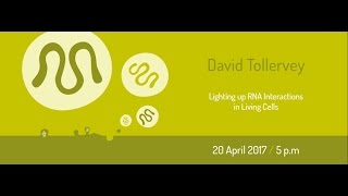 MENDEL LECTURES  David Tollervey  Lighting up RNA Interactions in Living Cells  2042017 [upl. by Iruam]