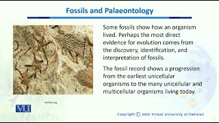 Fossils amp Palaeontology  Biodiversity amp EvolutionII  BT201Topic148 [upl. by Pammie]