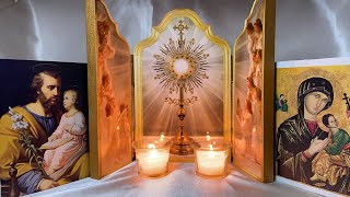 Rosary Family Holy Hour [upl. by Bourgeois]