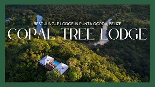 Best Luxury AllInclusive Jungle Resort in Belize  Copal Tree Lodge  EcoLodge [upl. by Eanrahc]