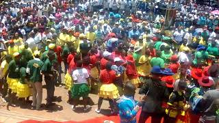 ZanuPF Mbare Chimurenga choir celebrates the ouster of Mnangagwa in song dance [upl. by Critta]