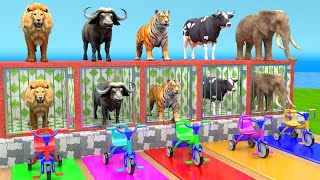 Cow Mammoth Elephant Lion Buffalo Guess The Right Key ESCAPE ROOM CHALLENGE Animals Cage Game [upl. by Yendor]