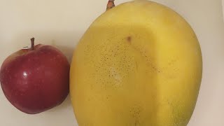 slicing apple sweet mango and mikansatisfying fruit viral [upl. by Oknuj]