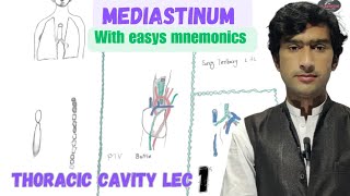 Mediastinum anatomy with mnemonics by Medexplora zawar yousafzai [upl. by Ainecey]