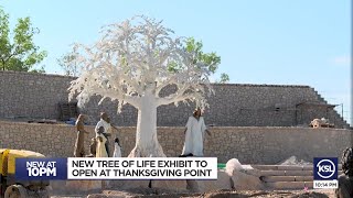 Tree of Life exhibit to open at Thanksgiving Point [upl. by Lance]