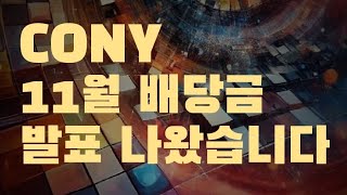 CONY 11월 배당금 발표 주당 2달러 든든하네요 [upl. by Siraved]