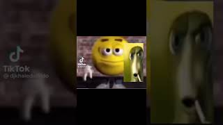 guacamole n p trending funny memes viralmemes tiktok [upl. by Stoll51]