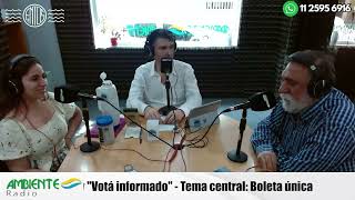 Hablamos de la boleta única y otros sistemas de votación [upl. by Siuqram714]