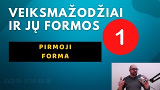 Anglų kalbos veiksmažodžių formos Pirmoji forma [upl. by Malin]