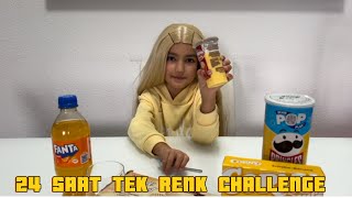 24 SAAT TEK RENK CHALLENGE  PrensesSultanTv [upl. by Karon]