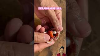 KERANG MUTIARA fishing animals [upl. by Leihcey]