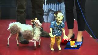 Ava plays with puppets for Free Fall Baltimore [upl. by Files]