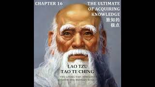 Tao Te Ching Chapter 16 The Ultimate of Acquiring Knowledge 致知的极点 [upl. by Atineg]