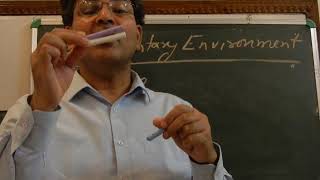 Sedimentary Environments Introduction Prof Dhruv Sen Singh University of Lucknow India [upl. by Lirva208]