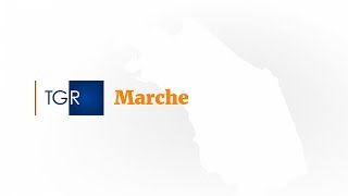 RAI3 TGR MARCHE  Accordo per la sicurezza sul lavoro  08102024 [upl. by Nelrah202]