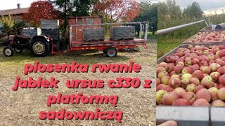 piosenka rwanie jabłek ursus c330 z platformą sadowniczą [upl. by Eiboh]