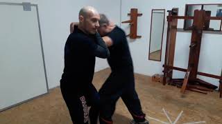 Luca Moro  Wing Tchun free training [upl. by Ocir]