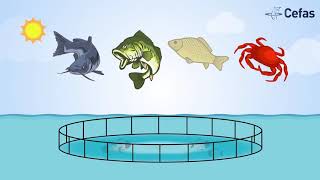 Sustainable aquaculture [upl. by Alurta]