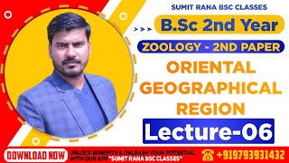 Lt06 Oriental Zoogeographical Region  Zoology 2nd Paper  BSc 2nd Year [upl. by Lory]