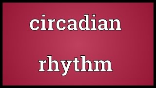 Circadian rhythm Meaning [upl. by Oloapnaig188]