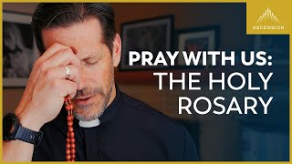 Pray with Us The Sorrowful Mysteries of the Rosary with Fr Mike Schmitz Tuesdays amp Fridays [upl. by Oicam339]