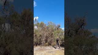 Beelia Regional Park Bibra Lake 5 relaxing nature hiking [upl. by Aznecniv]