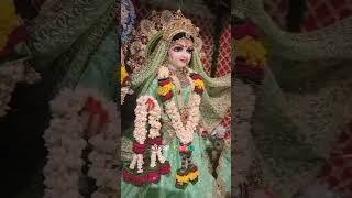 🗣️ 🙏🏼नई भक्ति रिंगटोन🌺🌿✨👣radharani song shortsfeedytshorts vrindavandham Viralshortstrending [upl. by Ainessej]