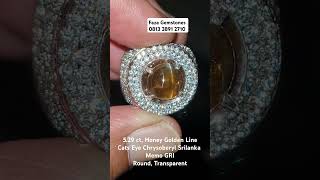 529 ct Honey Golden Line Cats Eye Chrysoberyl Srilanka Memo GRI Round Transparent 081338912710 [upl. by Ardnasella]