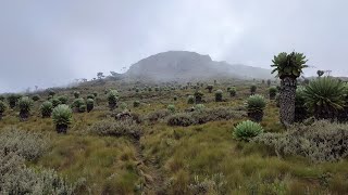 Table Mountain Aberdares Double Challenge [upl. by Oemac]