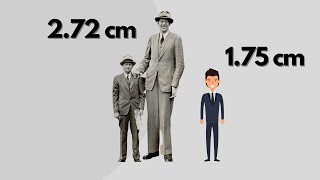 Height COMPARISON Tallest people in the WORLD [upl. by Yelnikcm]