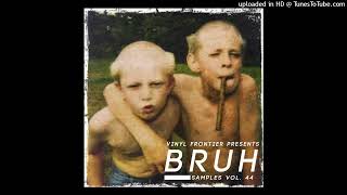 Vinyl Frontier Presents BRUH Samples Vol 44 Track 2 [upl. by Adiari606]