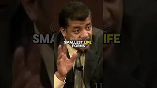 Neil DeGrasse Tyson Defends The Evidence For Life On Mars🤔 [upl. by Schnapp361]