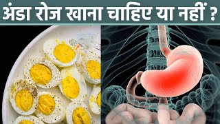 अंडा रोज खाने से क्या होता है अंडा रोज खाना चाहिए या नहीं  Boldsky Health [upl. by Stanley]