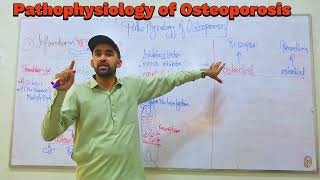 Osteoporosis Pathophysiology by IMTIAZ AFRIDI GBSN semester iv [upl. by Siubhan]