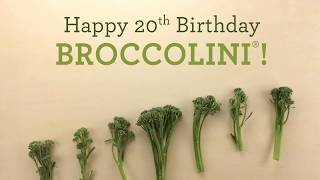 Happy 20th Birthday Broccolini From The Produce Moms [upl. by Reinhold]