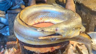 Amazing Giant Monster Eel Fish Cutting amp Skinning Skills In Bangladesh Fish Market By Expert Cutter [upl. by Moran]