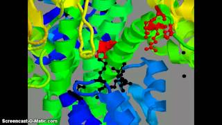 Histidine kinase response regulator complex [upl. by Virgie323]